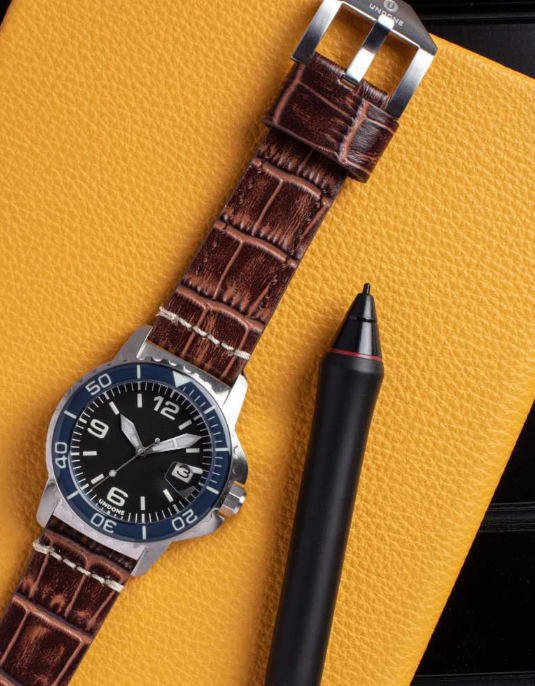 Strap | 22mm Alligator Brown