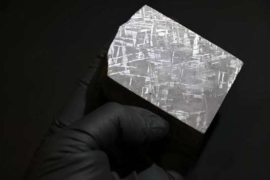 Gibeon Muonionalusta meteorite slice with geometric metallic patterns held by gloved hand on black background